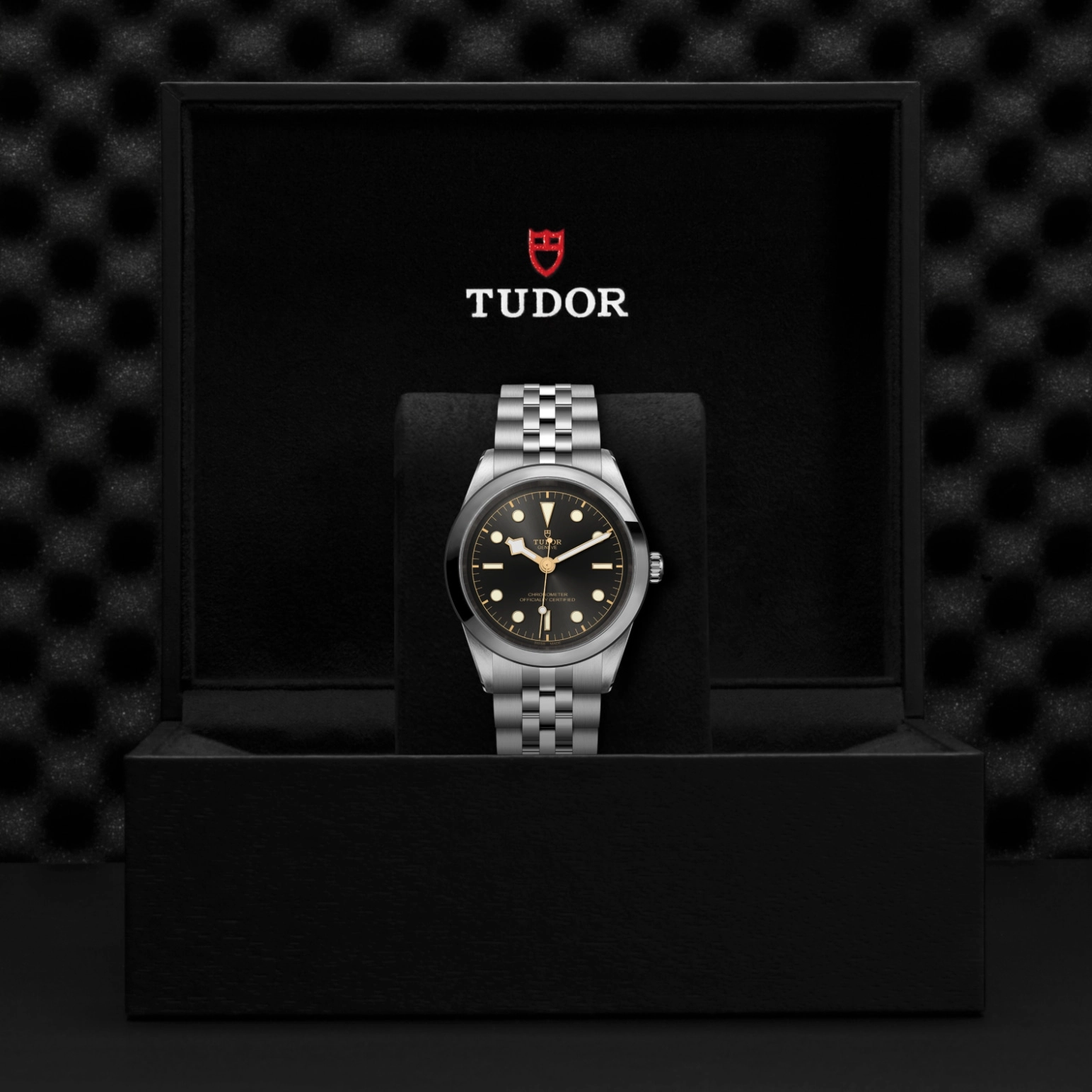 Black Bay One | 79680 | Steel | M79680-0001 | Tudor Official Retailer - Pendulum