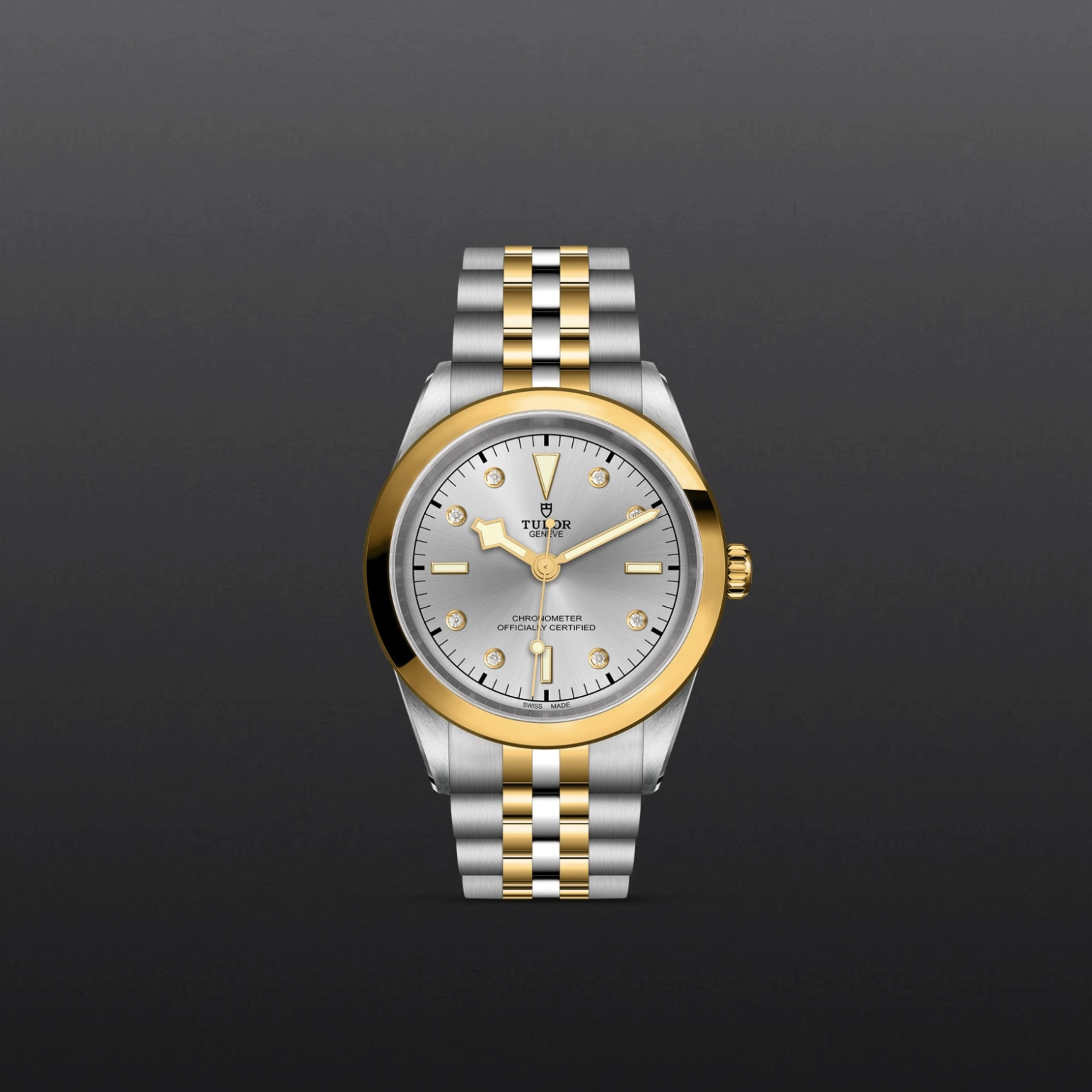 Black Bay | 79683 | Steel and Gold | M79683-0007 | Tudor Official Retailer - Pendulum