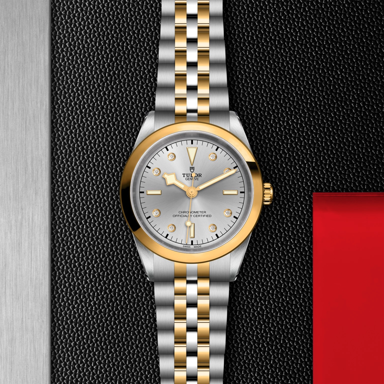 Black Bay | 79683 | Steel and Gold | M79683-0007 | Tudor Official Retailer - Pendulum
