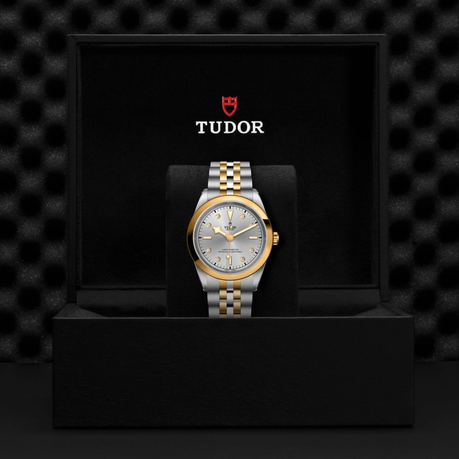 Black Bay | 79683 | Steel and Gold | M79683-0007 | Tudor Official Retailer - Pendulum