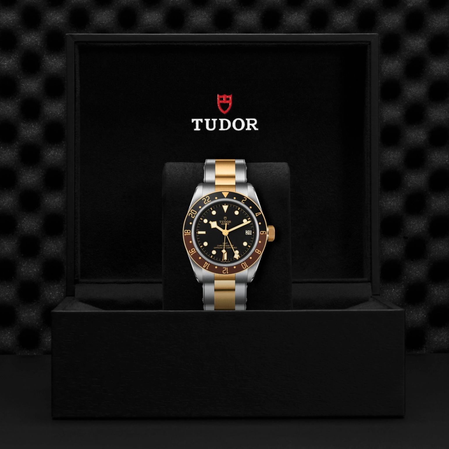 Black Bay GMT | 79833MN | Steel and Gold | M79833MN-0001 | Tudor Official Retailer - Pendulum