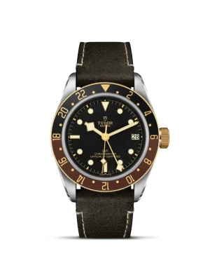 Black Bay | 79833MN | Steel and Gold | M79833MN-0003 | Tudor Official Retailer - Pendulum