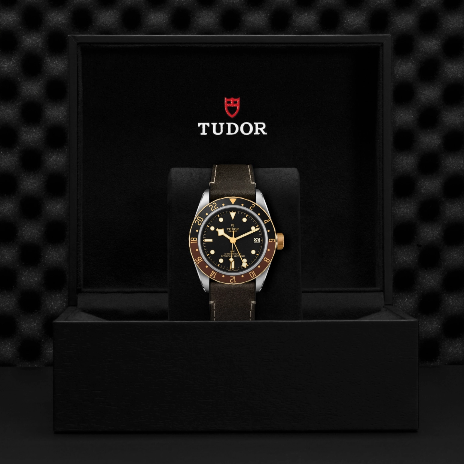 Black Bay GMT | 79833MN | Steel and Gold | M79833MN-0003 | Tudor Official Retailer - Pendulum