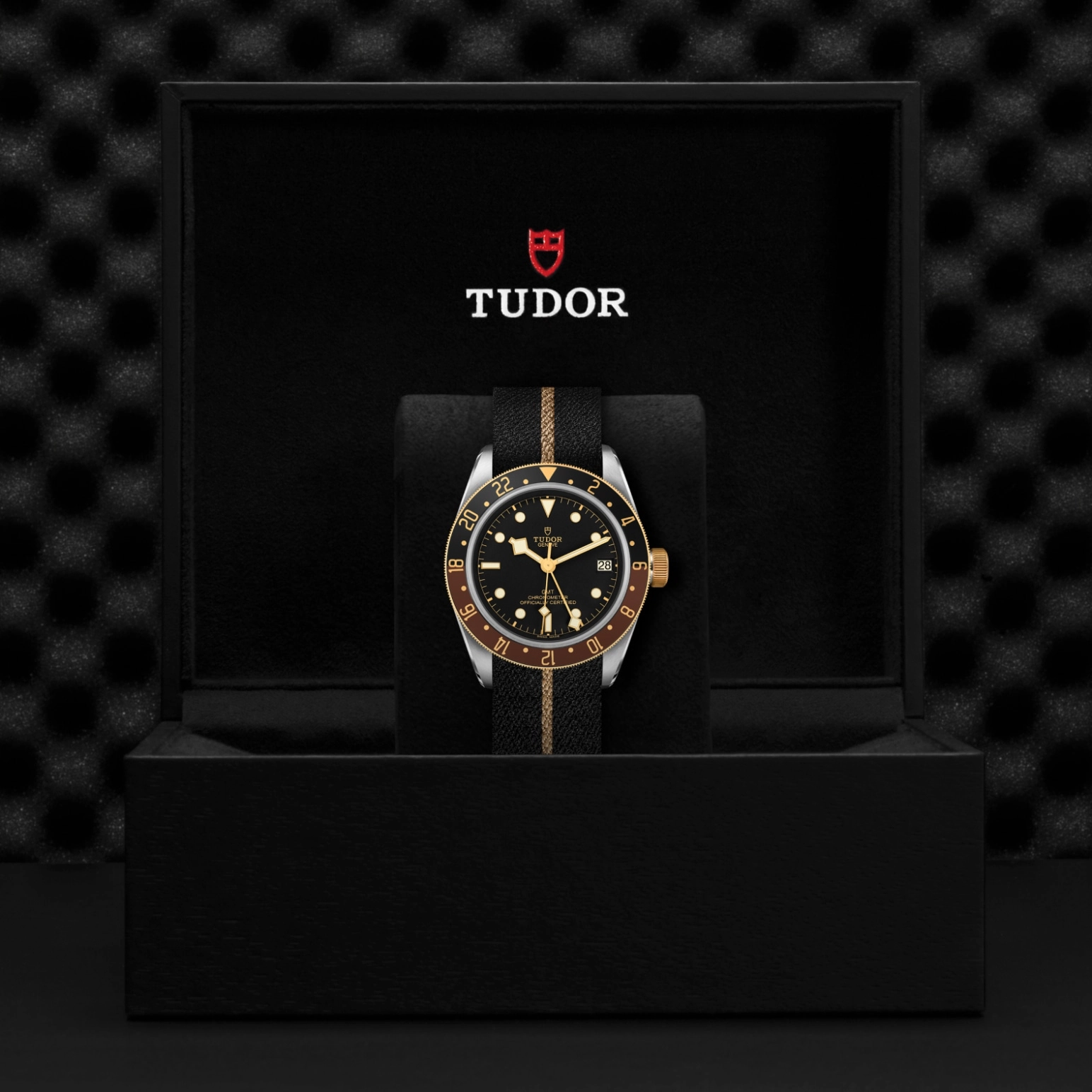 Black Bay | 79833MN | Steel and Gold | M79833MN-0004 | Tudor Official Retailer - Pendulum