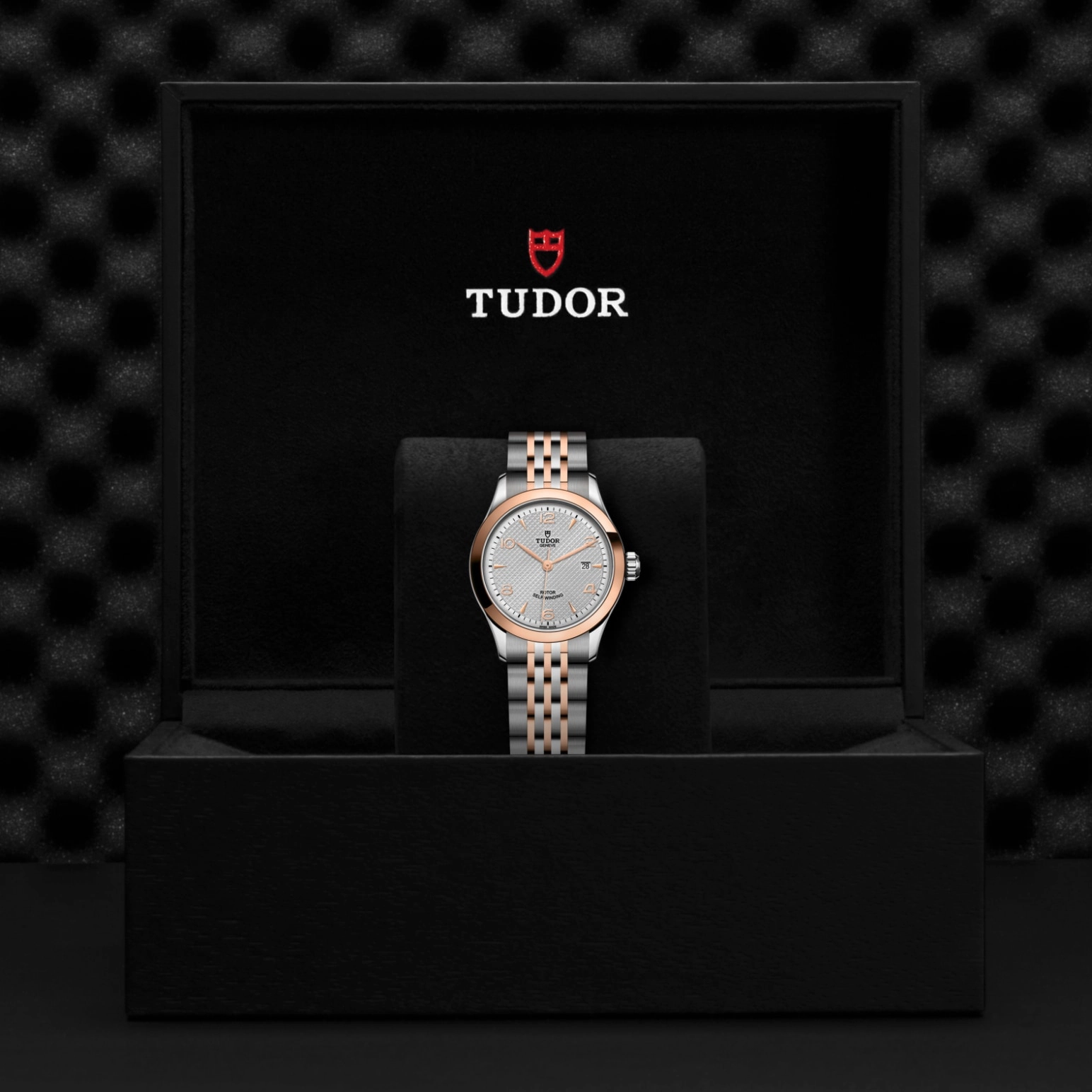 1926 | 91351 | Steel and Gold | M91351-0001 | Tudor Official Retailer - Pendulum
