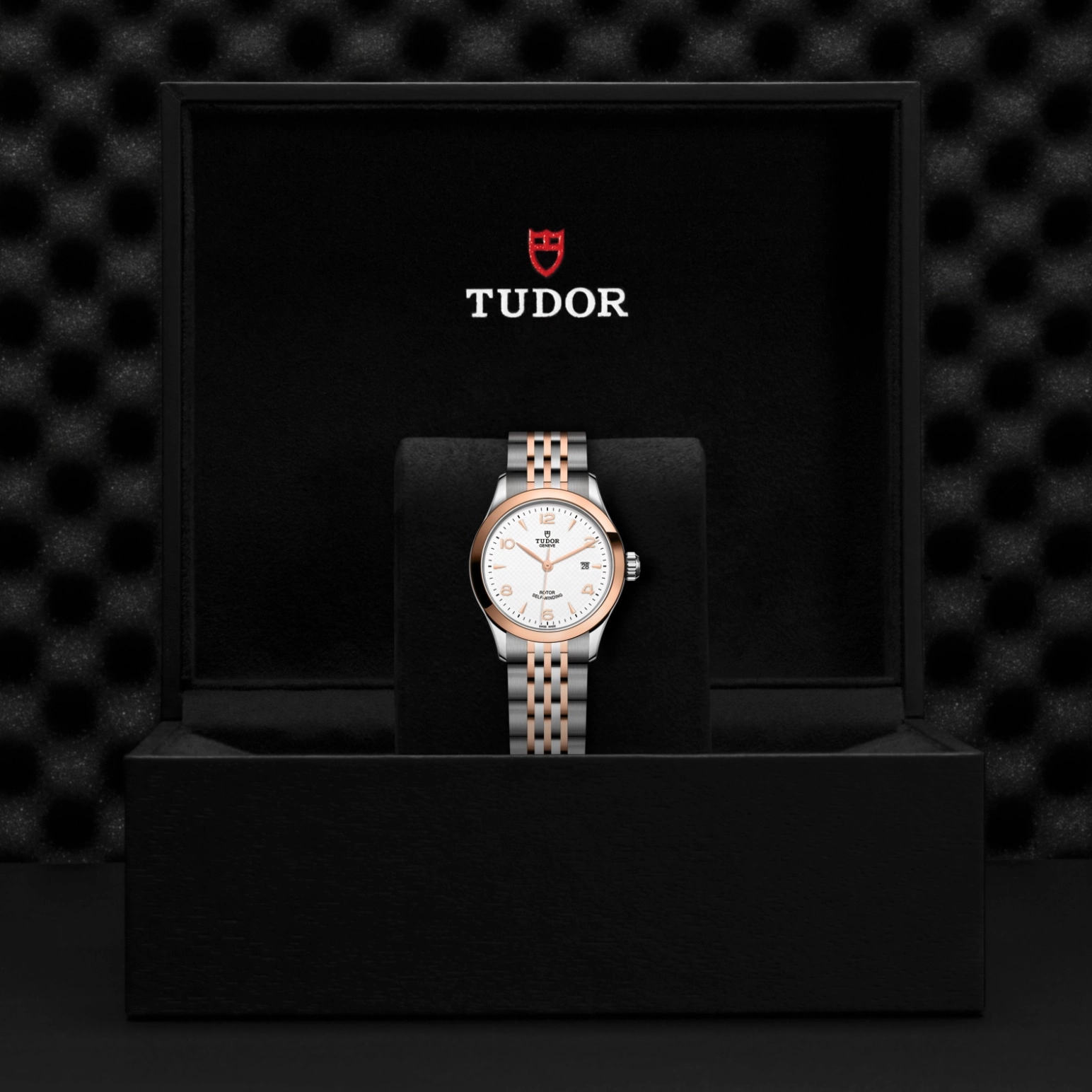 1926 | 91351 | Steel and Gold | M91351-0009 | Tudor Official Retailer - Pendulum