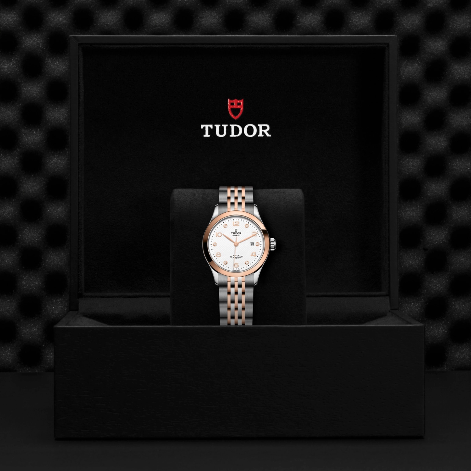 1926 | 91351 | Steel and Gold | M91351-0011 | Tudor Official Retailer - Pendulum