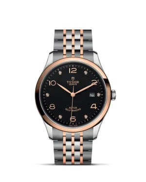1926 | 91651 | Steel and Gold | M91651-0004 | Tudor Official Retailer - Pendulum