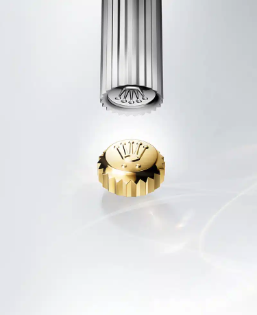 Pendulum Banner