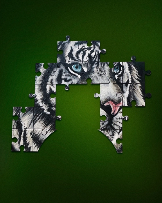 Product Gallery Image